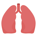 肺癌用藥指引檢測T790M