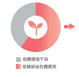 流產原因大致上可歸類為母體環境不良或受精卵染色體異常